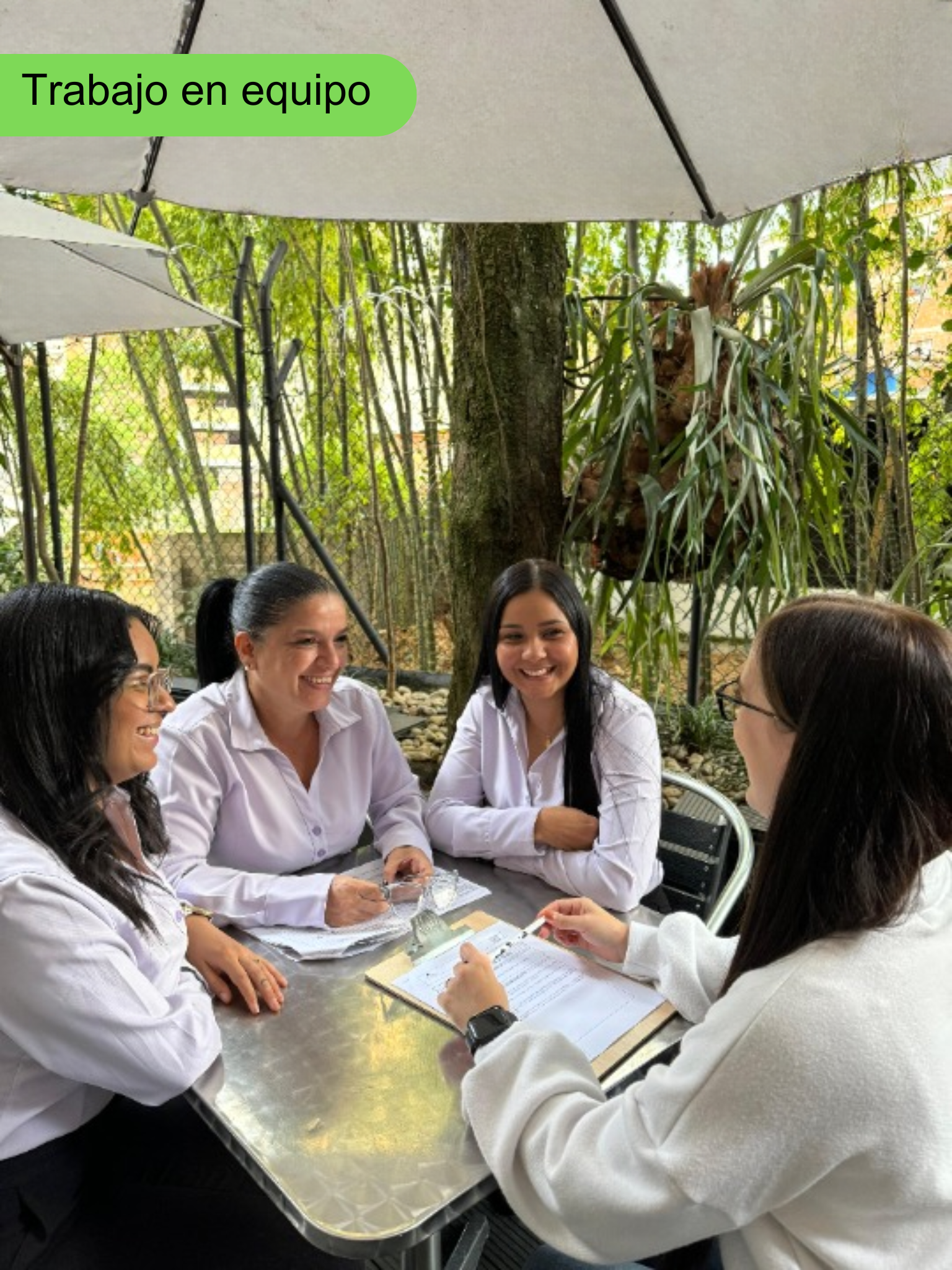 Trabajo en equipo